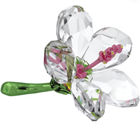 Cristalleria Swarovski in Cristallo 5690534 - 5690534